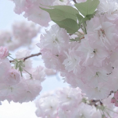 兽设四季场景绘制FurryQQ群